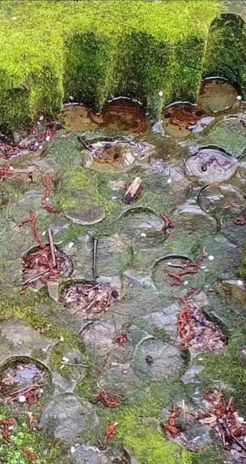 Волконский дольмен, это мегалитический памятник, расположенный у села волконка неподалеку от лазаревского. 04