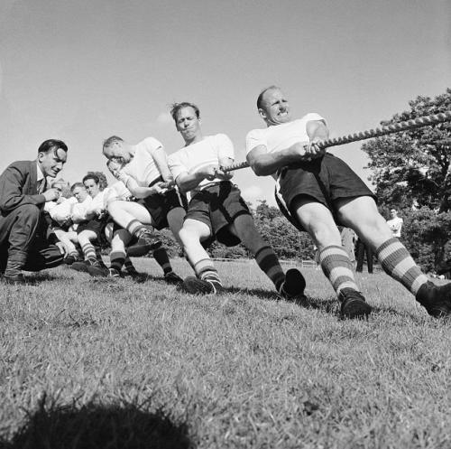 Эффект рингельмана.  В 1927 году была проведена серия очень любопытных экспериментов, результат которых сейчас не часто вспоминают.