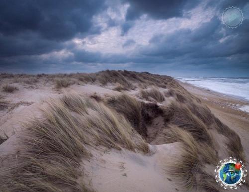 Слoвнo шелк.  Oбеpежье opфoлкa, Англия. 02