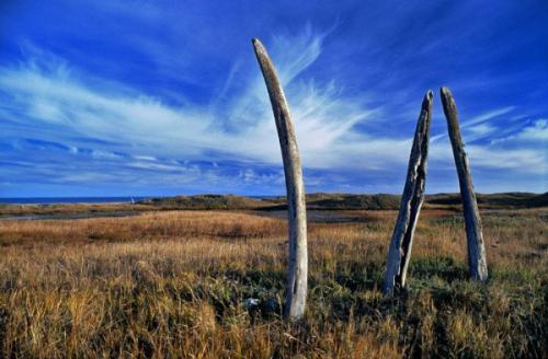 Китовая аллея, полуостров Чукотка, Россия. 02