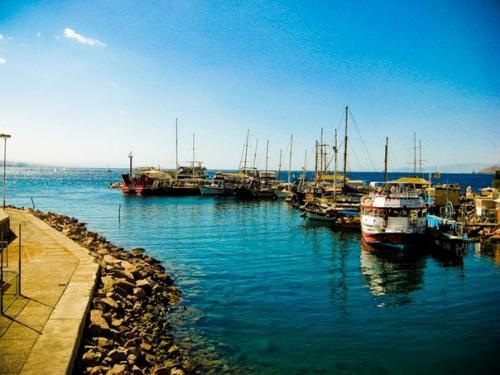 Эйлат, израиль.  Главные предметы гордости Эйлата, расположившегося в самом сухом регионе израиля, - это море, горы и солнце. 04