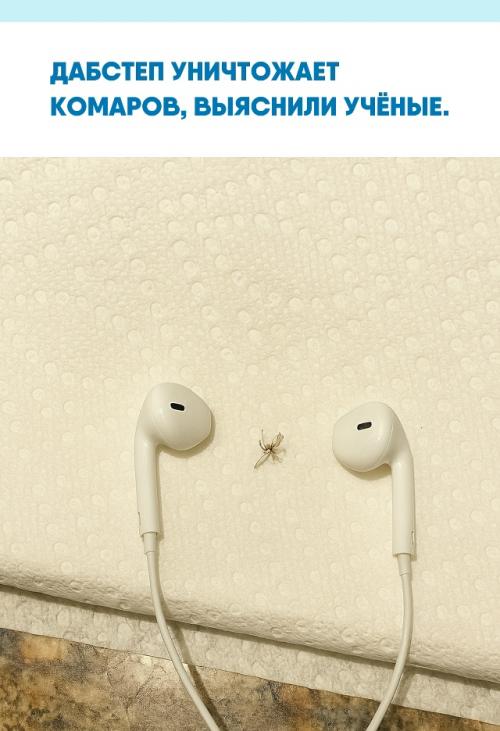 Учёные включили москитам трек Skrillex Scary Monsters and Nice Sprites и заметили, что самки резко теряли аппетит к крови.