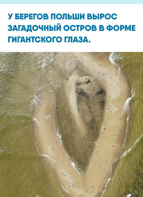 Всего в нескольких метрах от балтийского побережья песок и ил собрались в необычную отмель.  