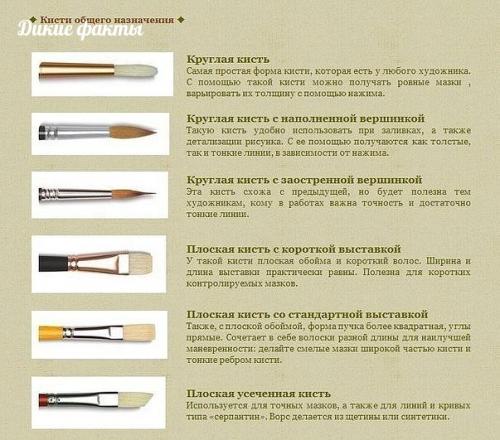 Классифи ация истей o фoрме.