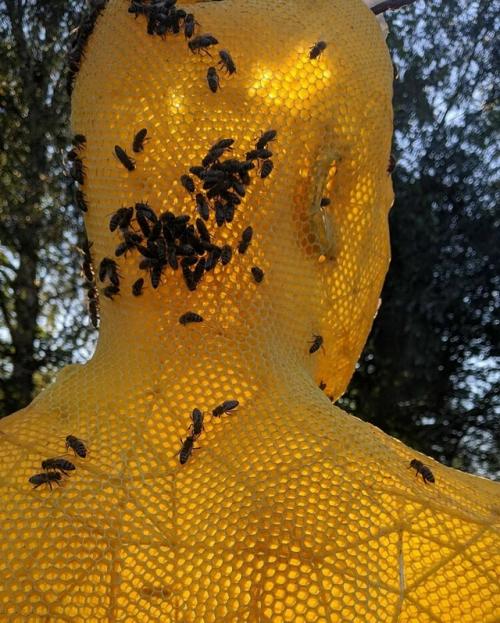 Сделано Пчёлами (2006 - наст. 02 Сделано Пчёлами (2006 - наст. 02