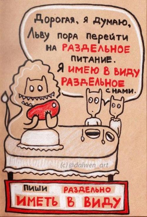 10 правил русского языка в котах! 06