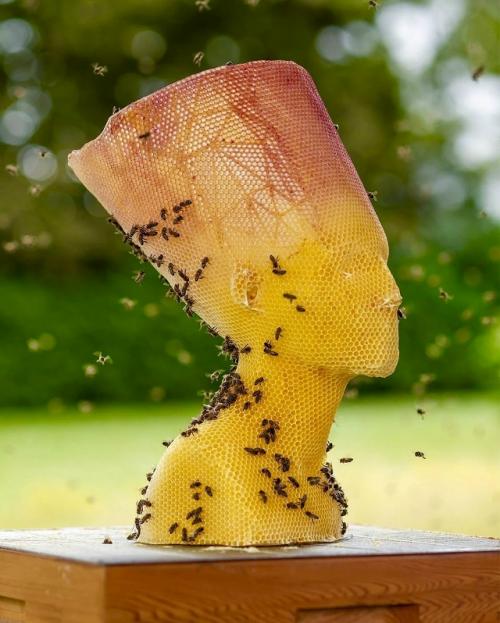 Сделано Пчёлами (2006 - наст. Сделано Пчёлами (2006 - наст.