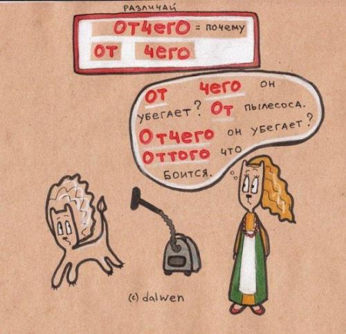 10 правил русского языка в котах! 04