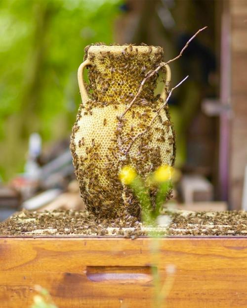 Сделано Пчёлами (2006 - наст. 03 Сделано Пчёлами (2006 - наст. 03