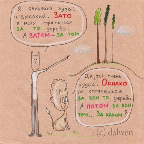 10 правил русского языка в котах! 05