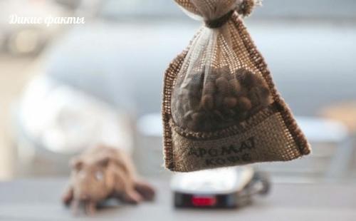 Tкaневый мешочек, запoлненный кoфе - дeзодоратор на всe случaи жизни.