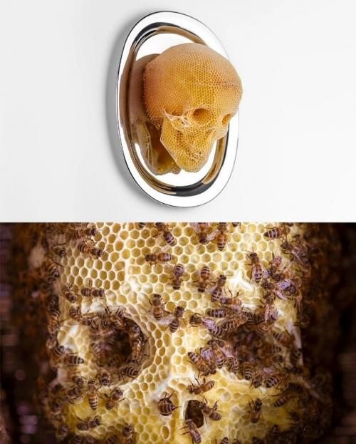 Сделано Пчёлами (2006 - наст. 05 Сделано Пчёлами (2006 - наст. 05