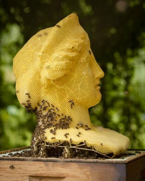 Сделано Пчёлами (2006 - наст. 08 Сделано Пчёлами (2006 - наст. 08