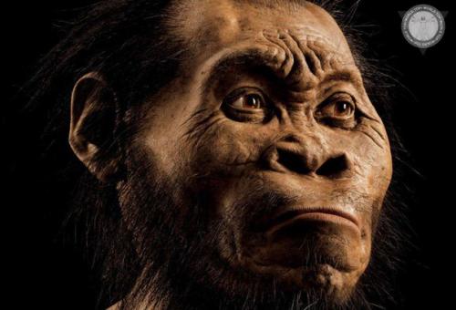 Найдено Звено между обезьянами и человеком.