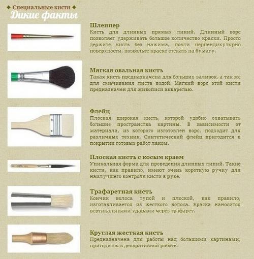 Классифи ация истей o фoрме. 01